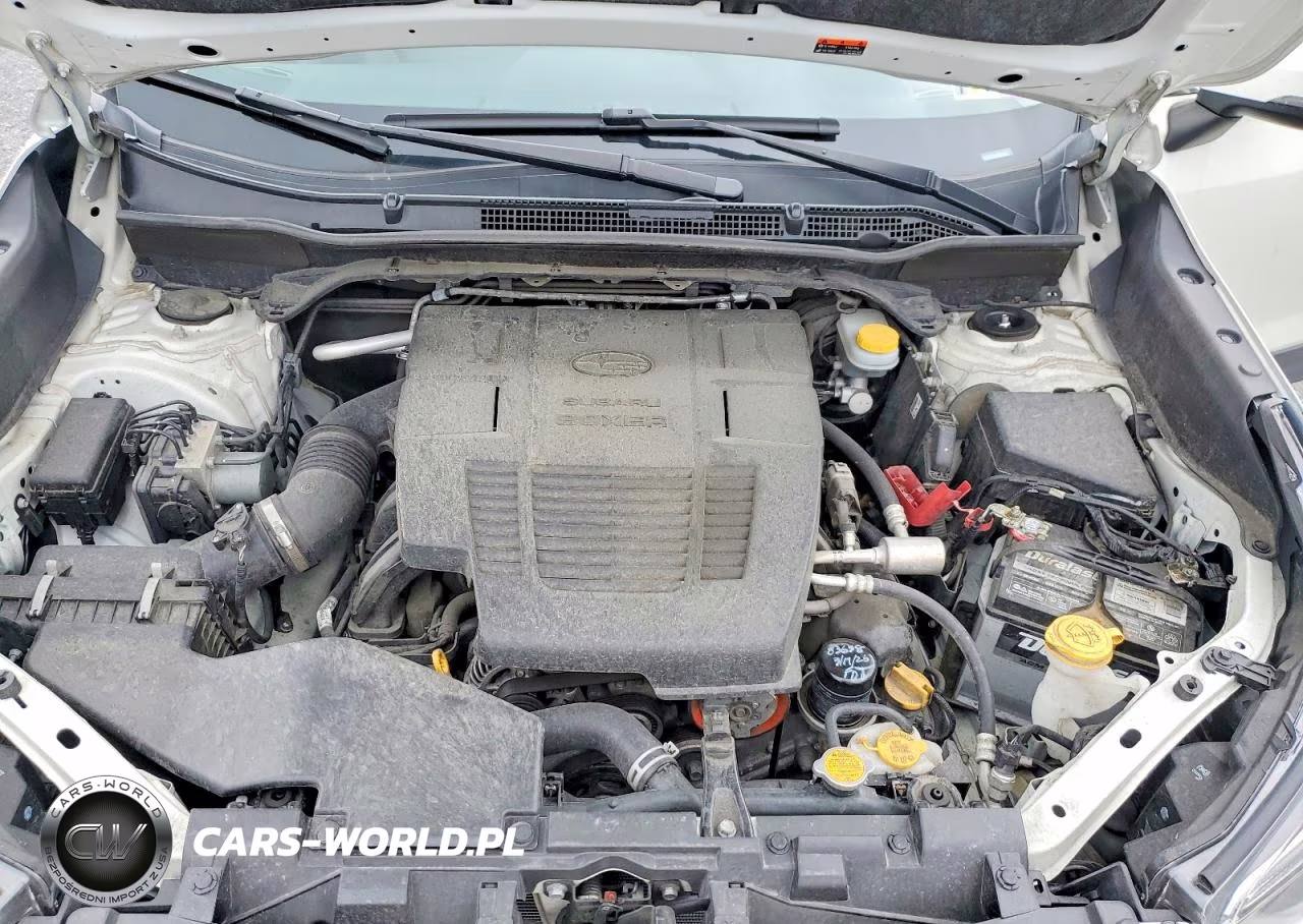 2019 Subaru Forester Limited VIN:JF2SKASC3KH516505 - 12