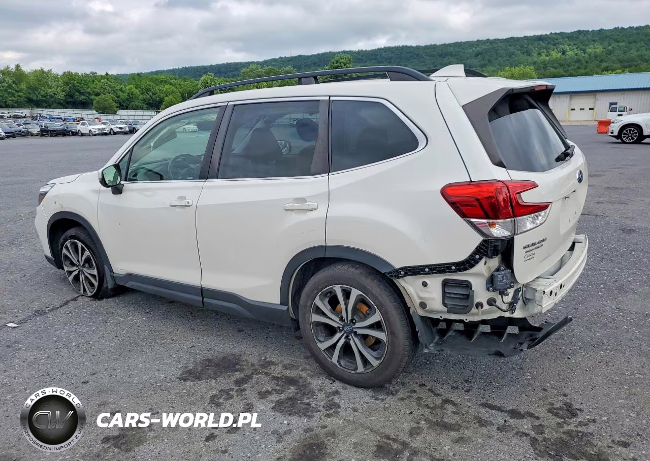2019 Subaru Forester Limited VIN:JF2SKASC3KH516505 - 2