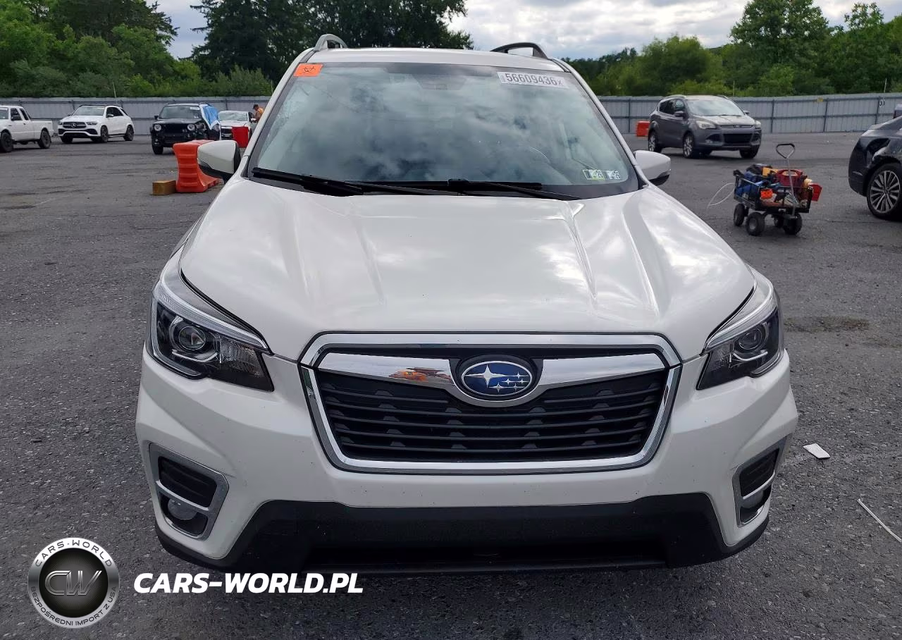 2019 Subaru Forester Limited VIN:JF2SKASC3KH516505 - 5