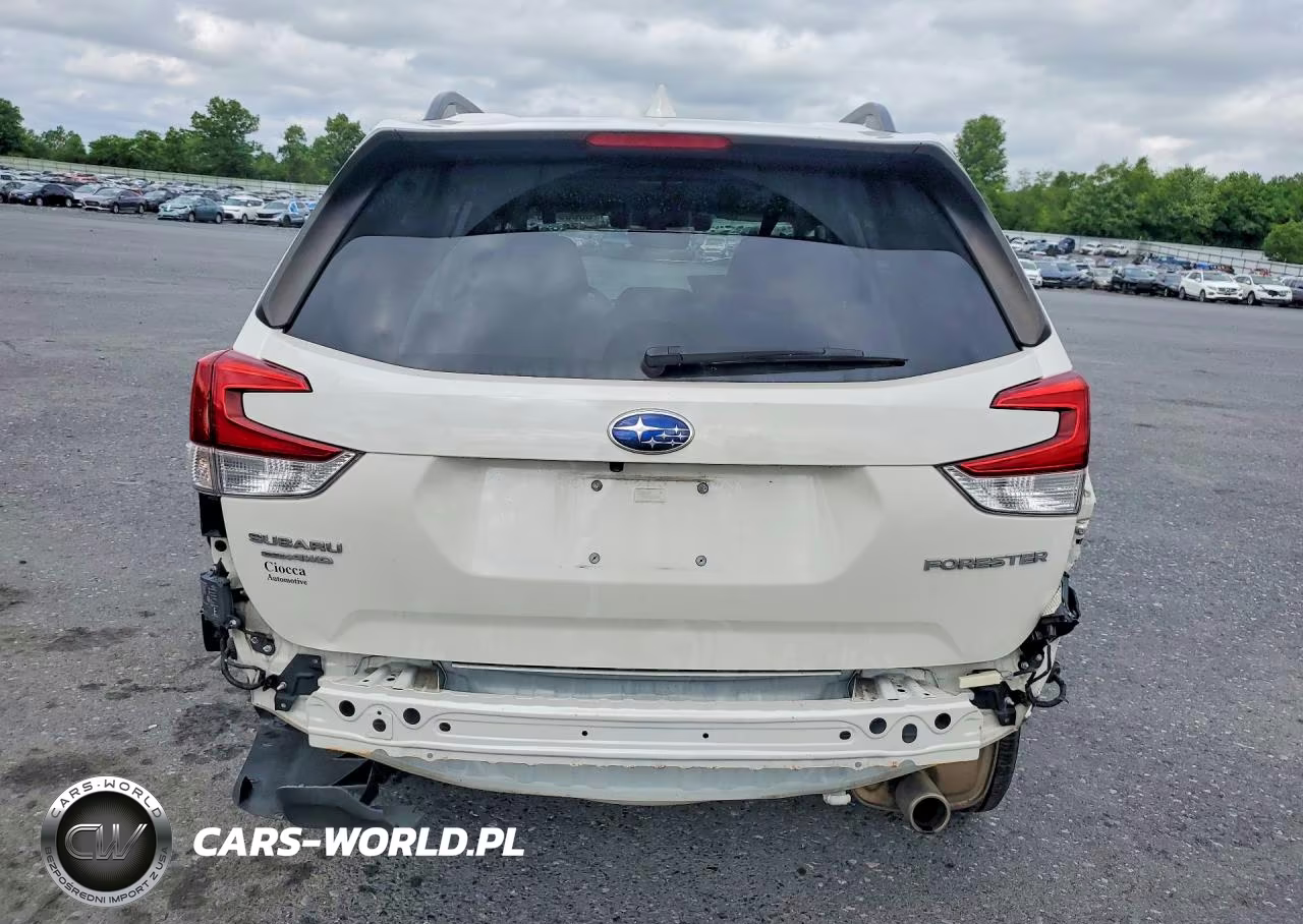 2019 Subaru Forester Limited VIN:JF2SKASC3KH516505 - 6