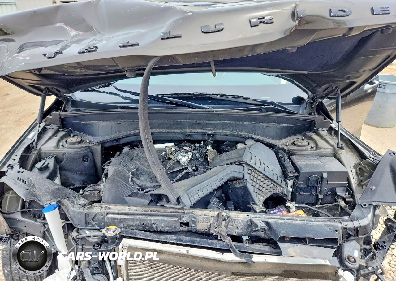 2021 Kia Telluride Ex VIN:5XYP3DHC4MG113753 - 11