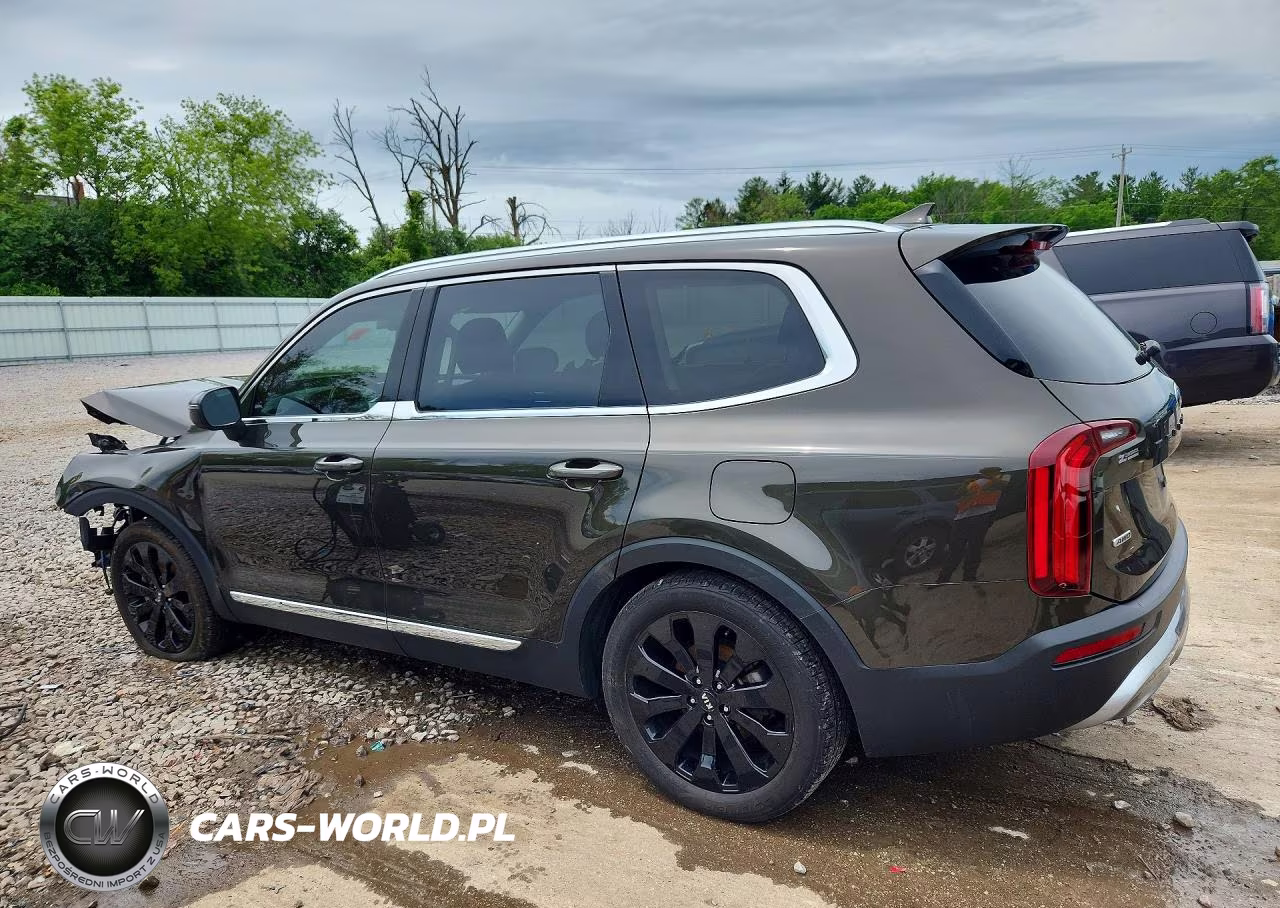 2021 Kia Telluride Ex VIN:5XYP3DHC4MG113753 - 2