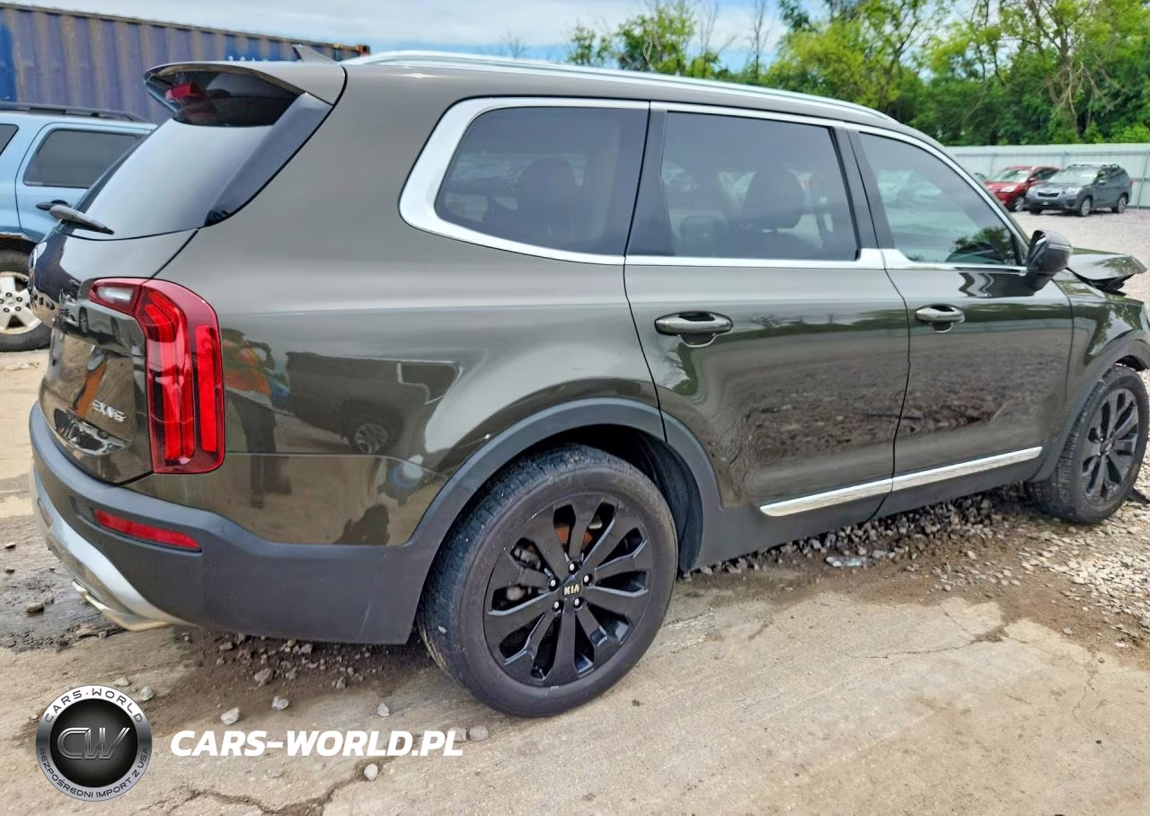 2021 Kia Telluride Ex VIN:5XYP3DHC4MG113753 - 3