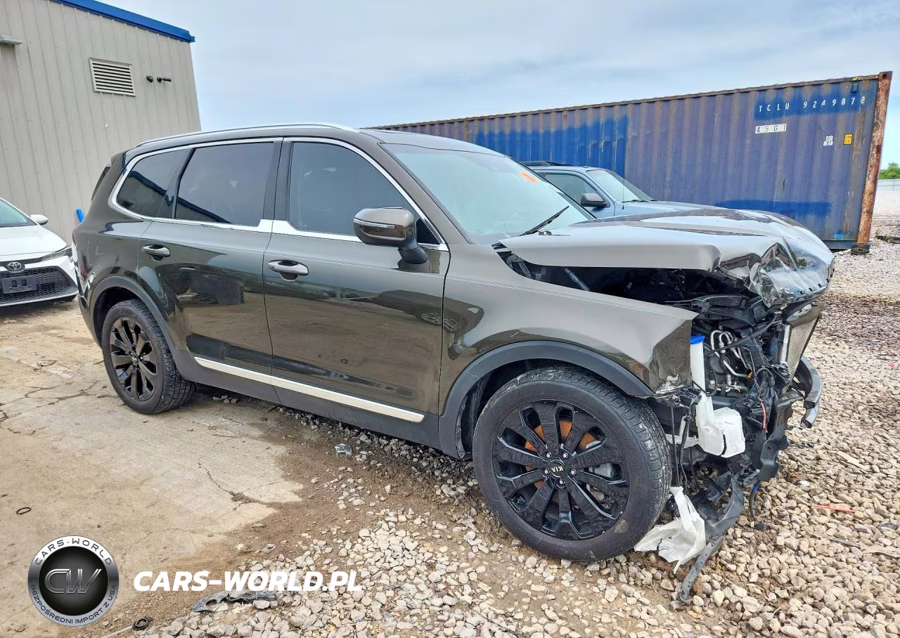 2021 Kia Telluride Ex VIN:5XYP3DHC4MG113753 - 4