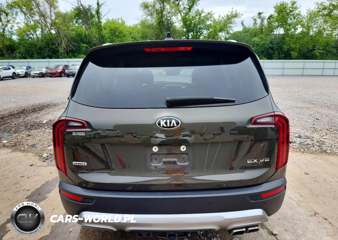 2021 Kia Telluride Ex VIN:5XYP3DHC4MG113753 - 6