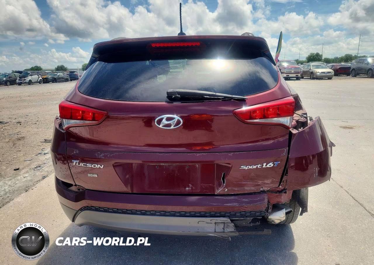 2016 Hyundai Tucson Sport VIN:KM8J33A29GU224587 - 6