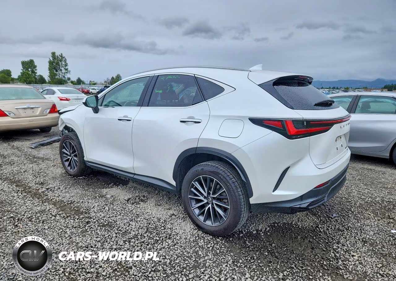 2023 Lexus Nx 350H VIN:JTJAKCEZ6P5007133 - 2