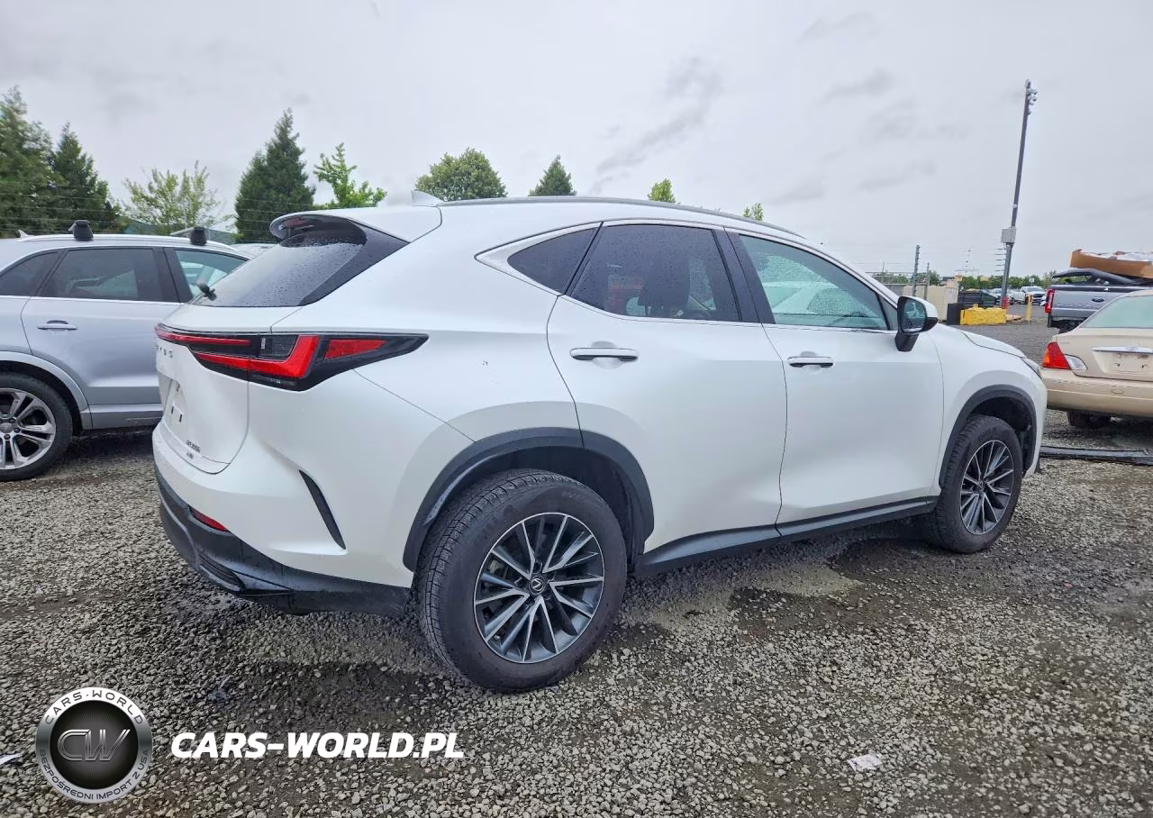 2023 Lexus Nx 350H VIN:JTJAKCEZ6P5007133 - 3