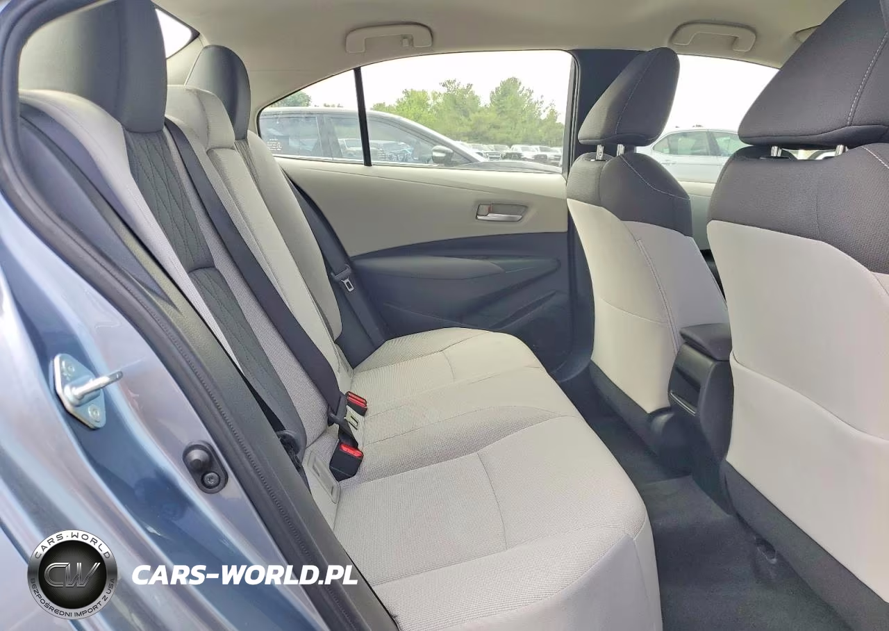 2020 Toyota Corolla Le VIN:JTDEPRAE5LJ058393 - 10