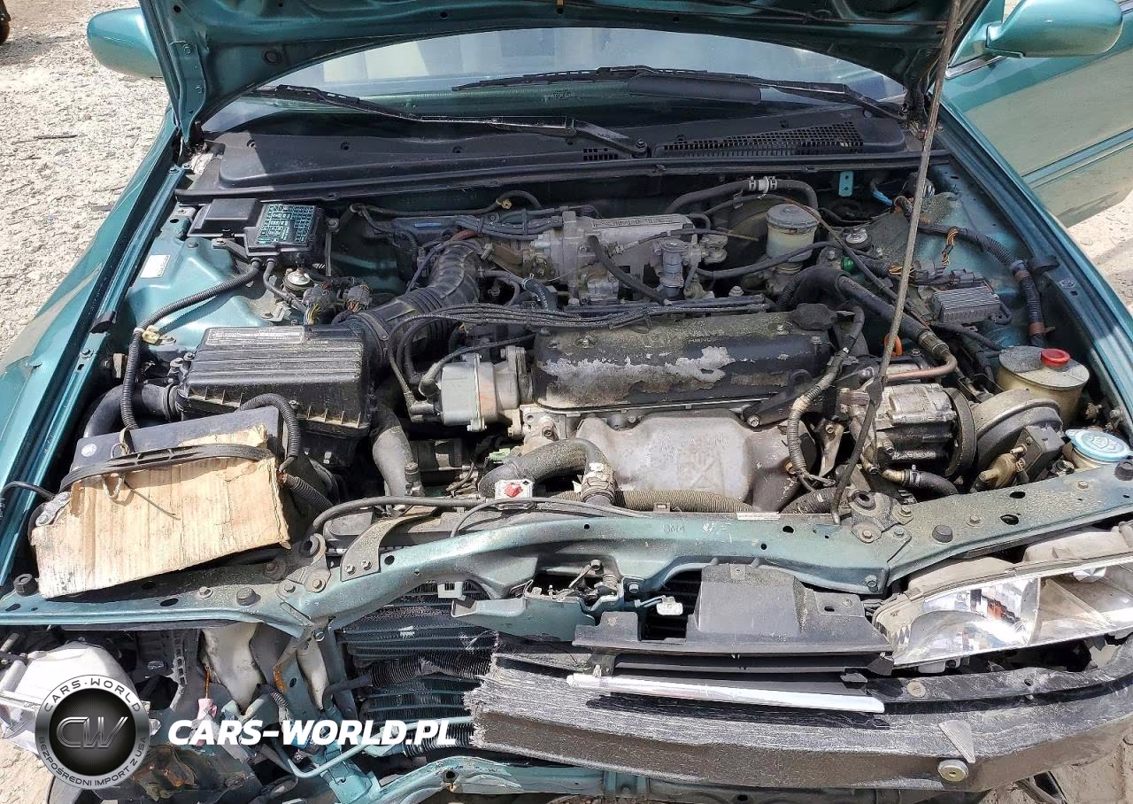 1993 Honda Accord Lx VIN:1HGCB7659PA002418 - 11