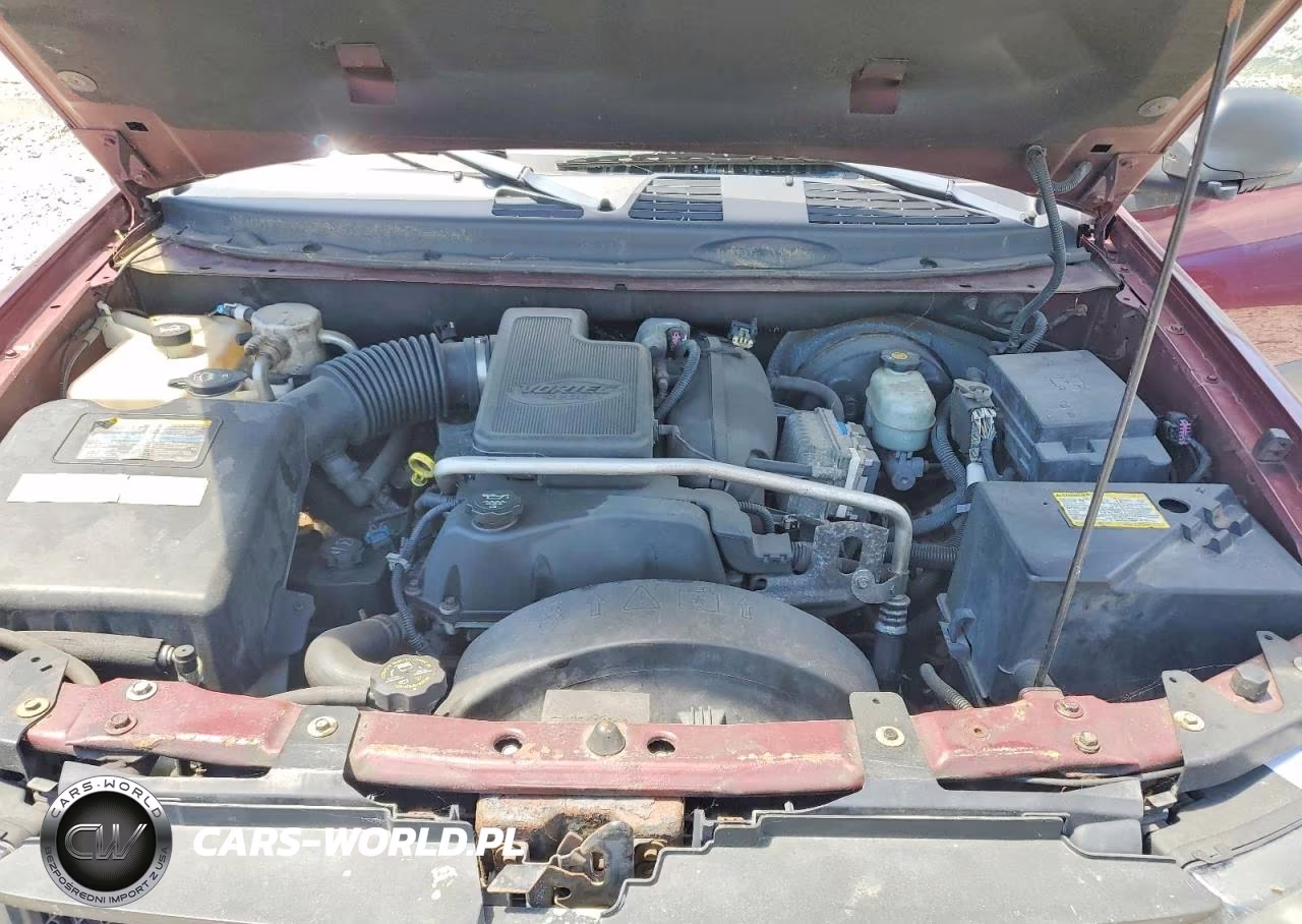 2004 Chevrolet Trailblazer Ls VIN:1GNDT13S342266223 - 12