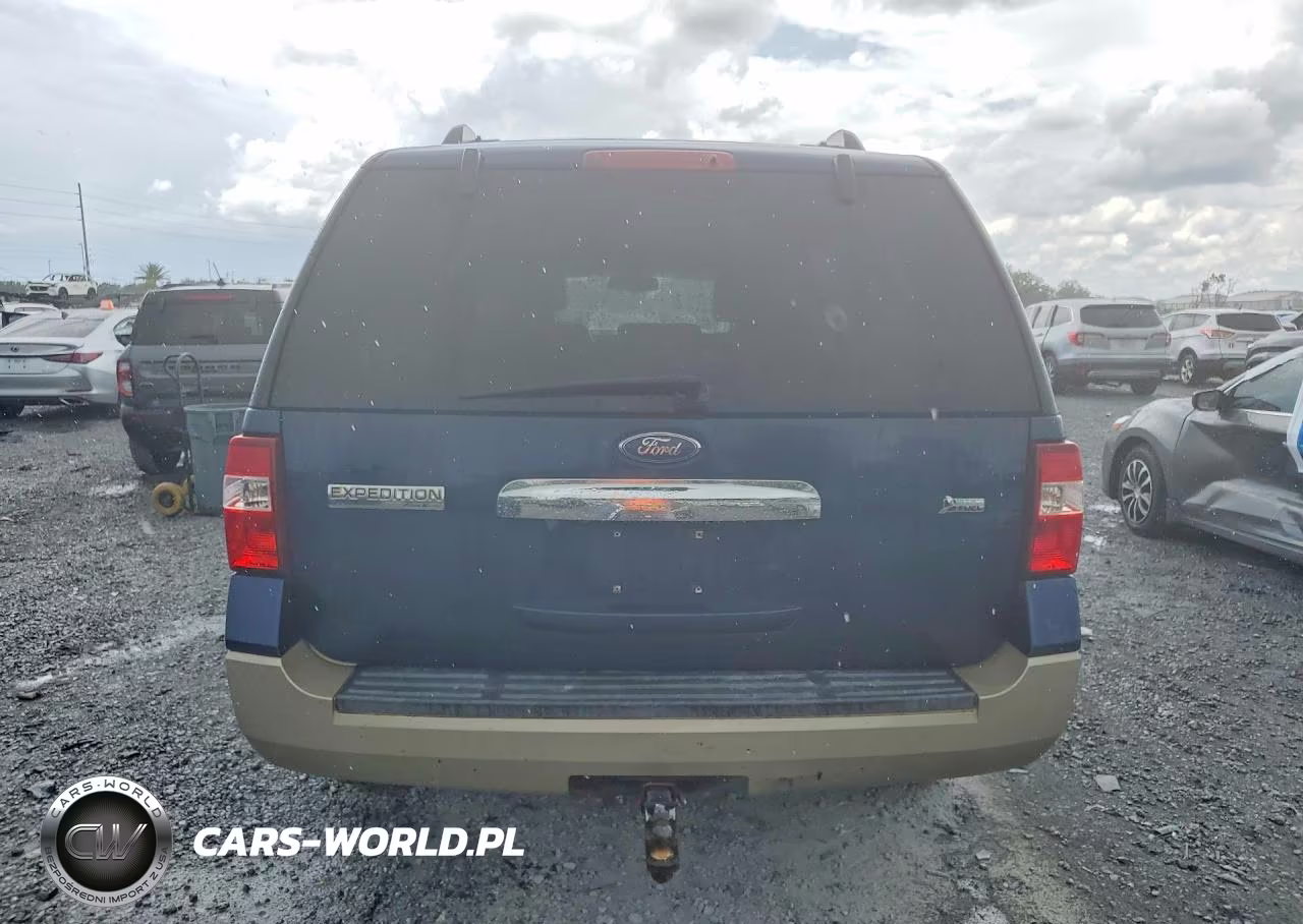 2009 Ford Expedition Eddie Bauer VIN:1FMFU18519LA02383 - 6