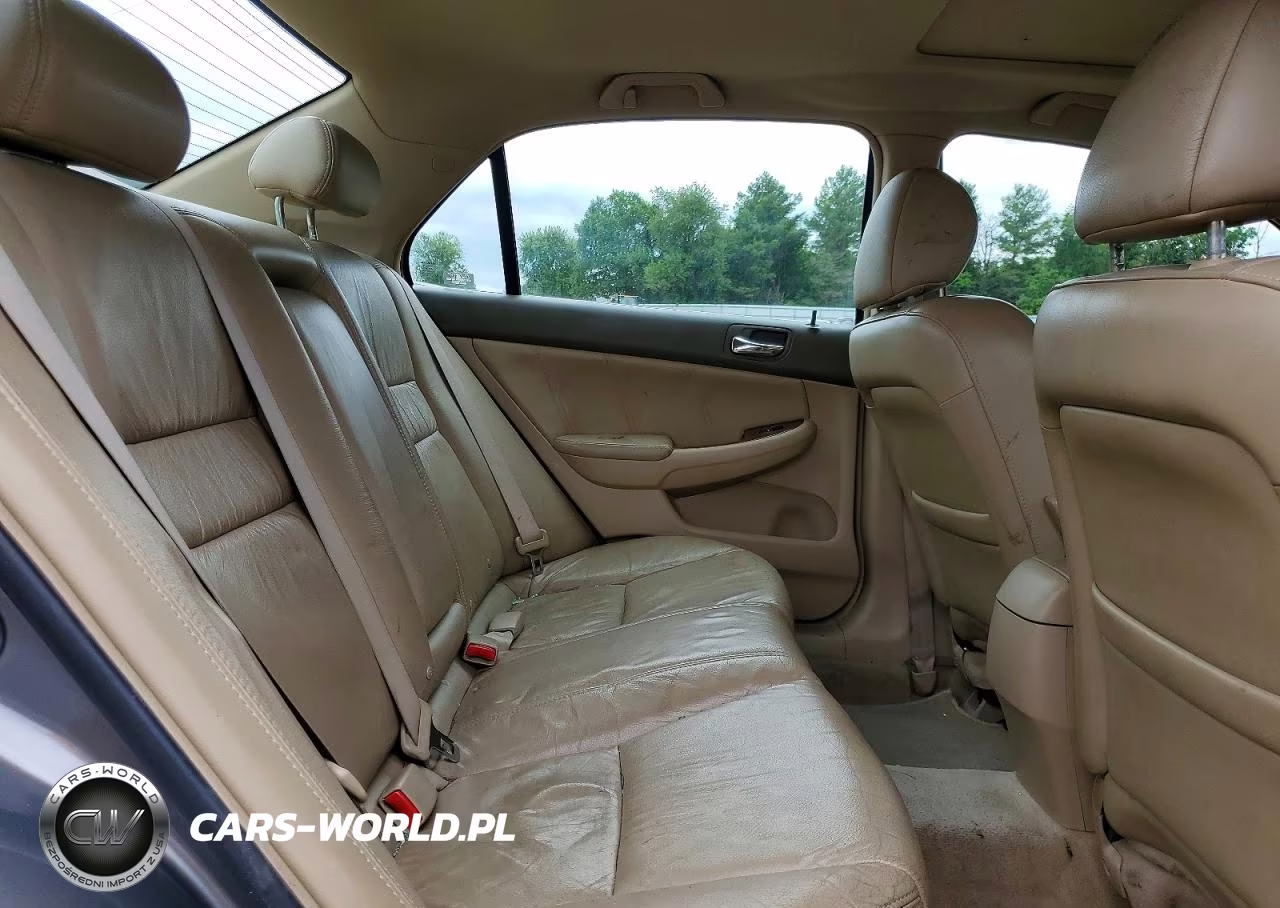 2006 Honda Accord Ex VIN:1HGCM66596A043831 - 10