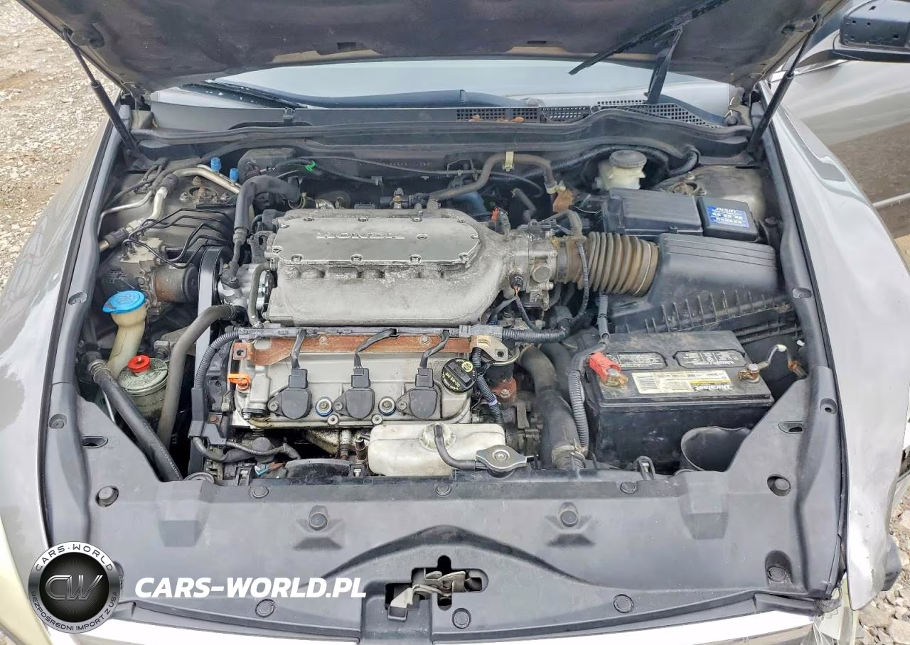 2006 Honda Accord Ex VIN:1HGCM66596A043831 - 11