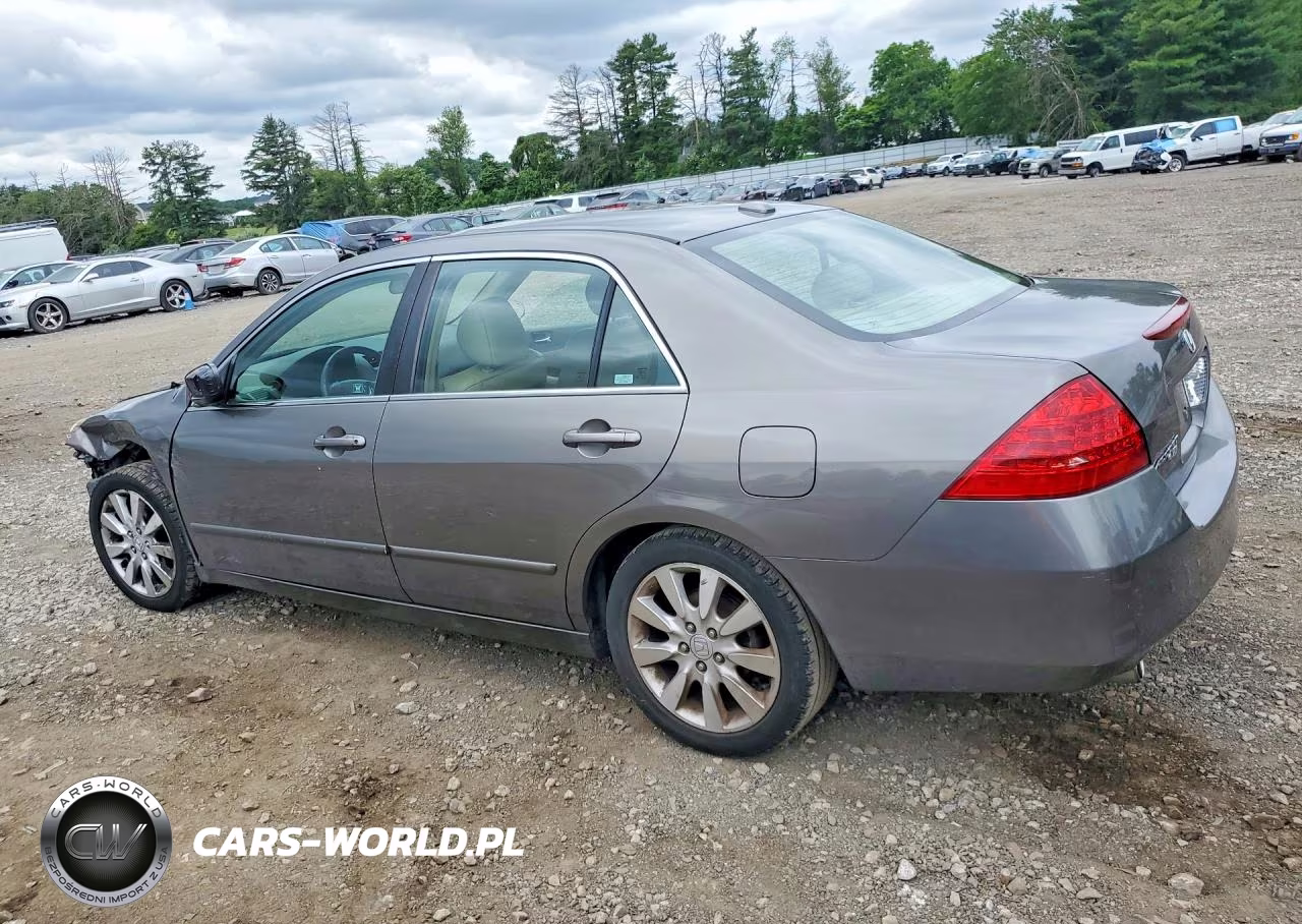 2006 Honda Accord Ex VIN:1HGCM66596A043831 - 2