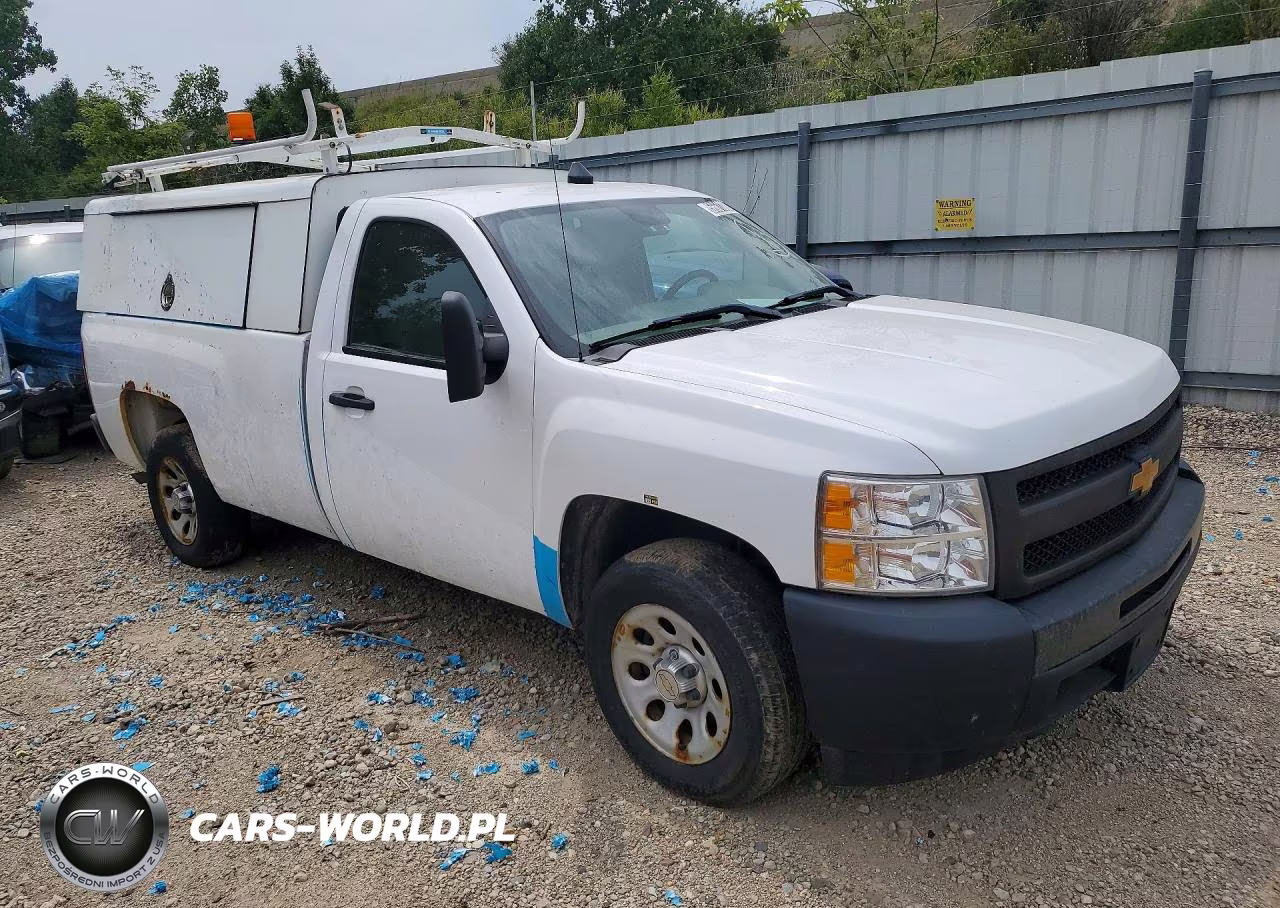 2013 Chevrolet Silverado C1500 VIN:1GCNCPEX1DZ260002 - 4