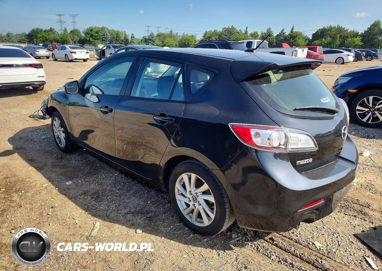 2013 Mazda 3 I VIN:JM1BL1M75D1810317 - 2
