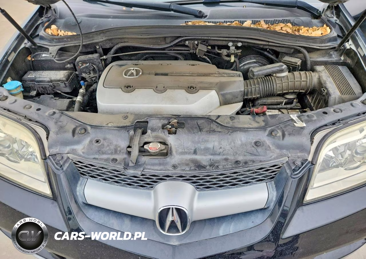 2006 Acura Mdx Touring VIN:2HNYD18826H533795 - 12