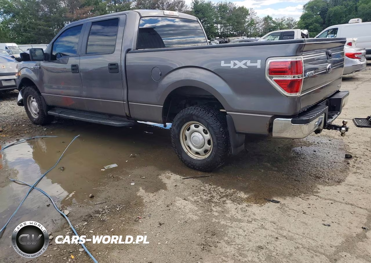 2013 Ford F150 Supercrew VIN:1FTFW1EF0DFD73747 - 2
