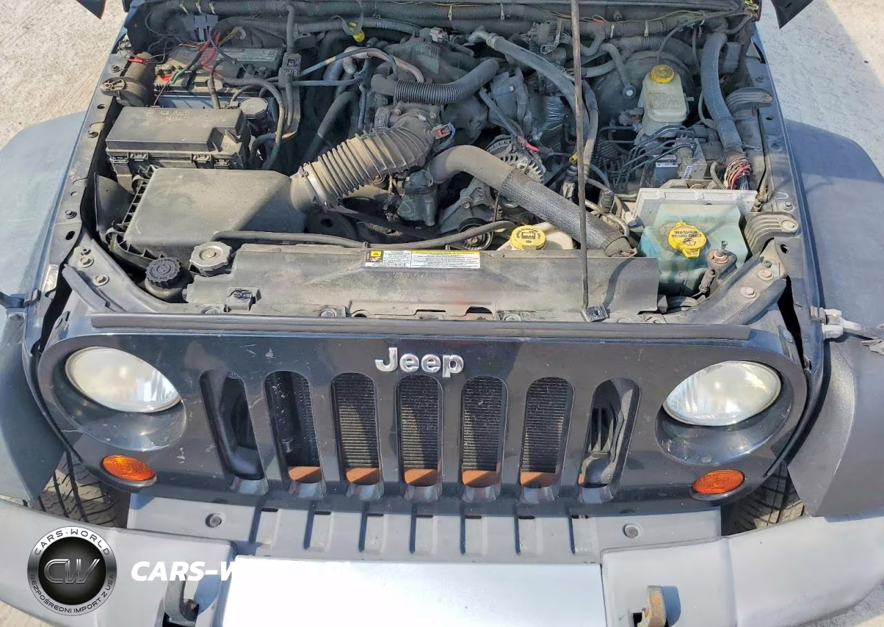 2010 Jeep Wrangler Unlimited Sahara VIN:1J4HA5H15AL226667 - 12