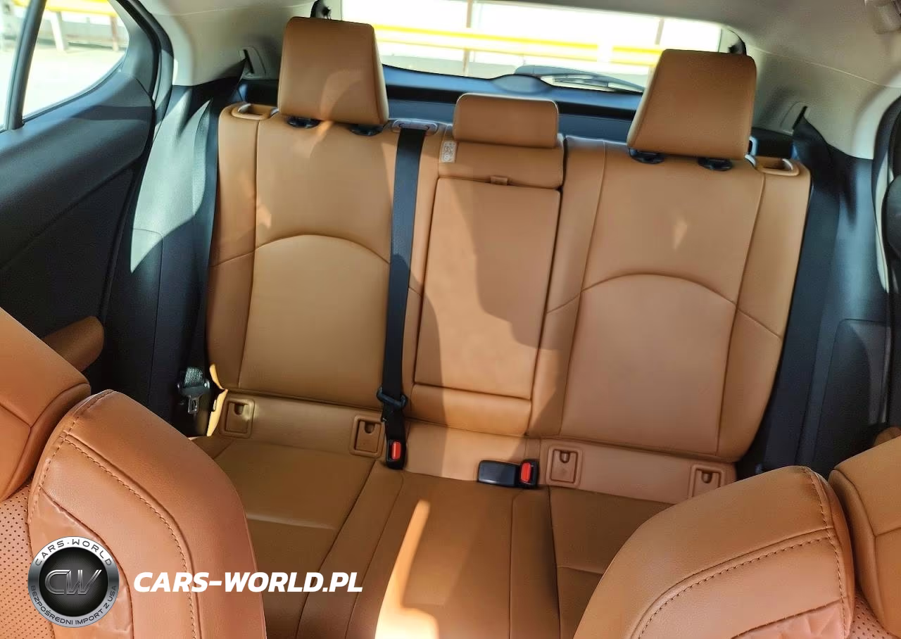 2021 Lexus Ux 250H VIN:JTHP9JBH1M2053795 - 10