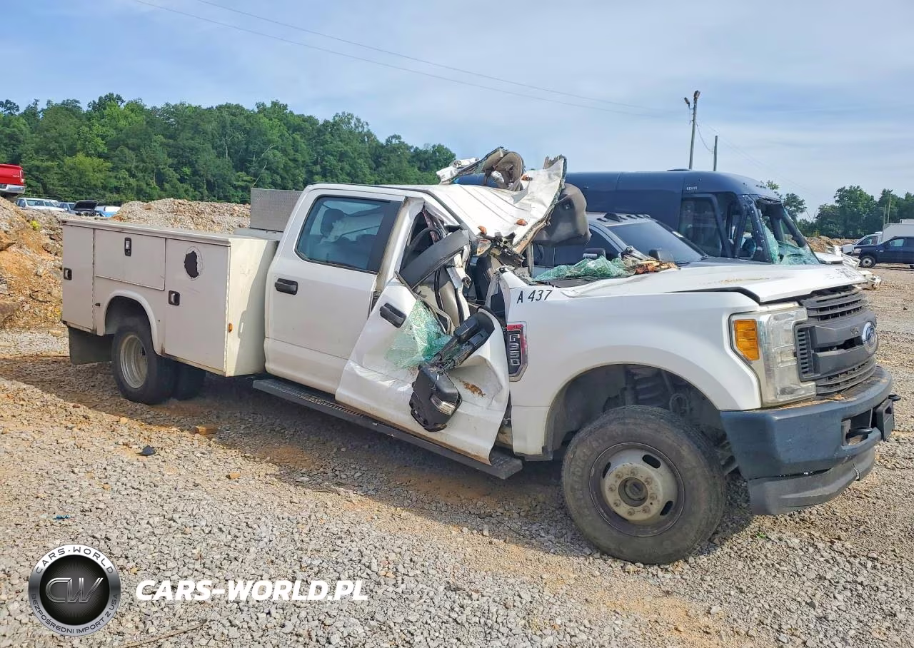 2017 Ford F350 Super Duty VIN:1FD8W3H60HED94573 - 4