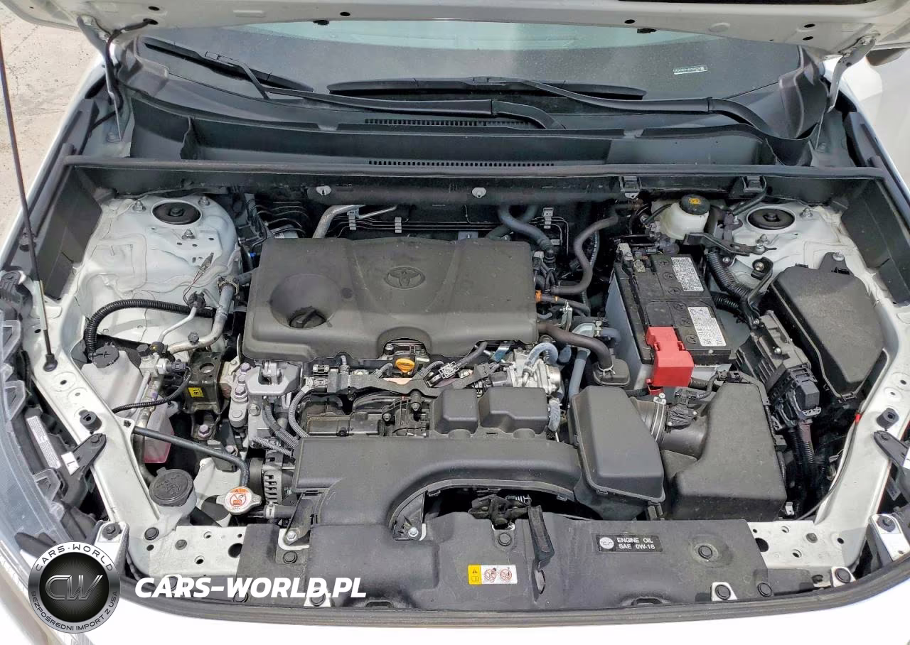 2025 Toyota Rav4 Xle VIN:2T3W1RFV4SC330528 - 11