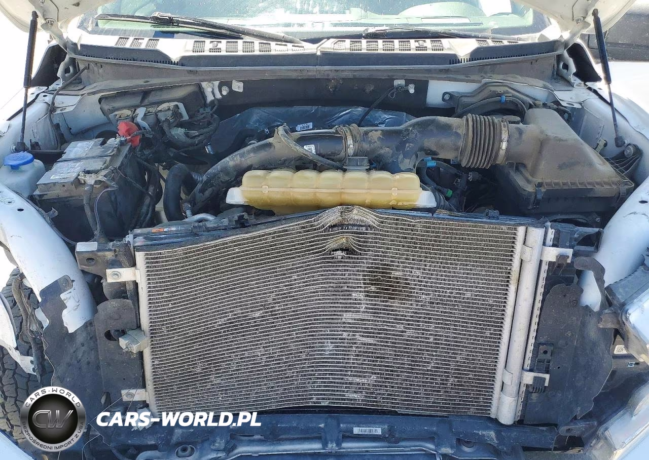 2020 Ford F150 Supercrew VIN:1FTEW1EP8LKF39300 - 11