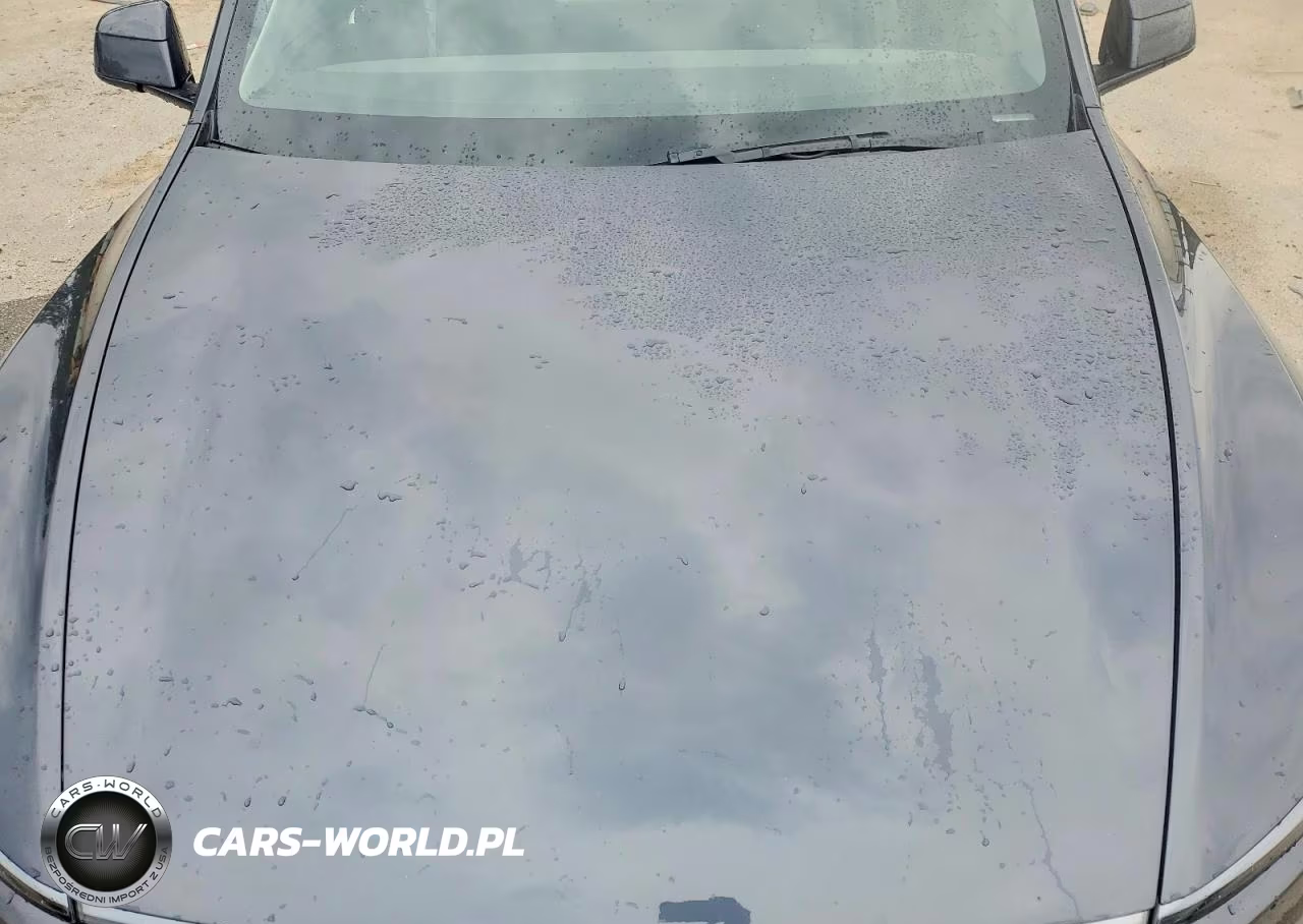 2026 Tesla Model Y VIN:7SAYGDEE2TA409598 - 12