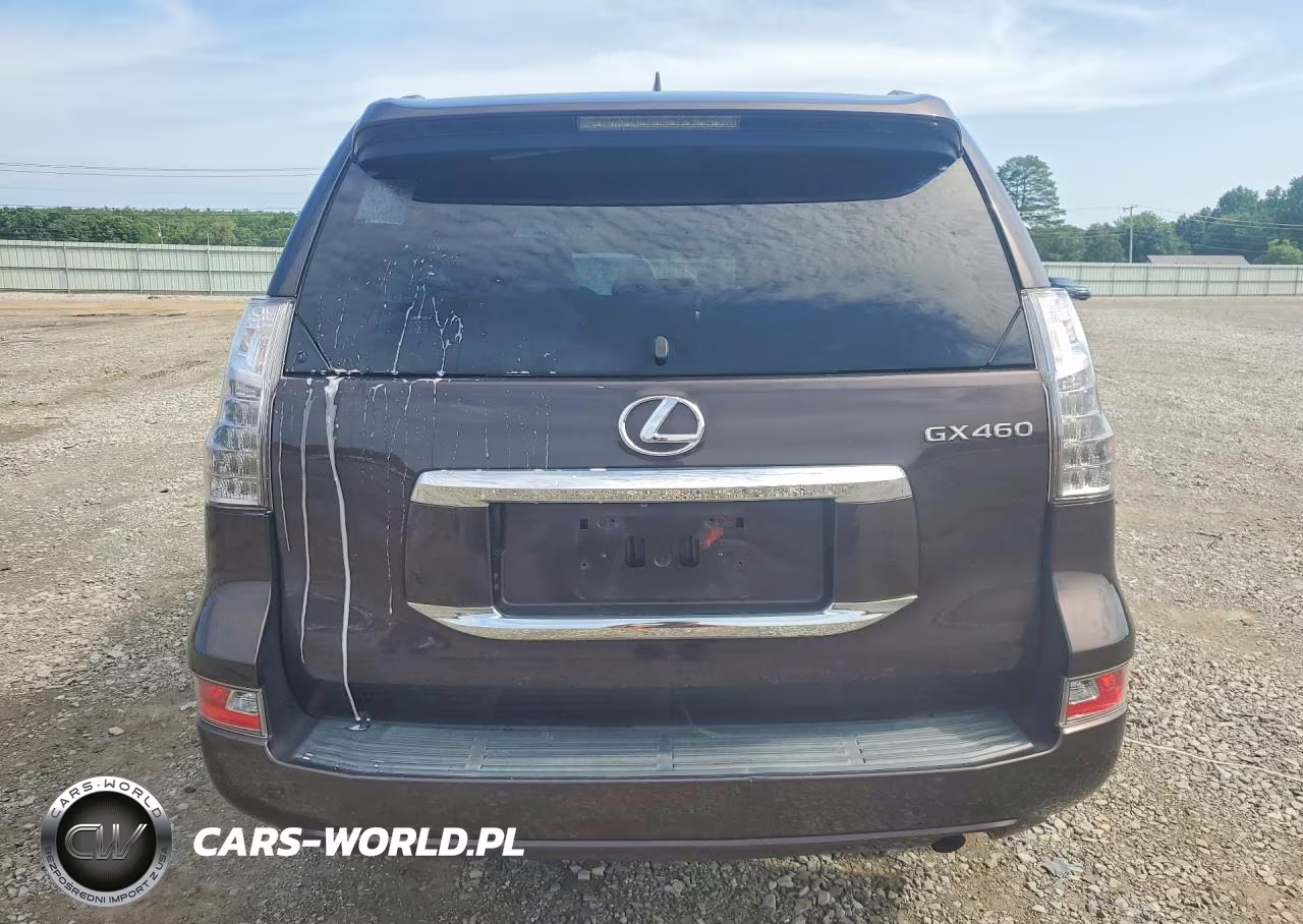 2017 Lexus Gx 460 VIN:JTJBM7FX3H5168060 - 6