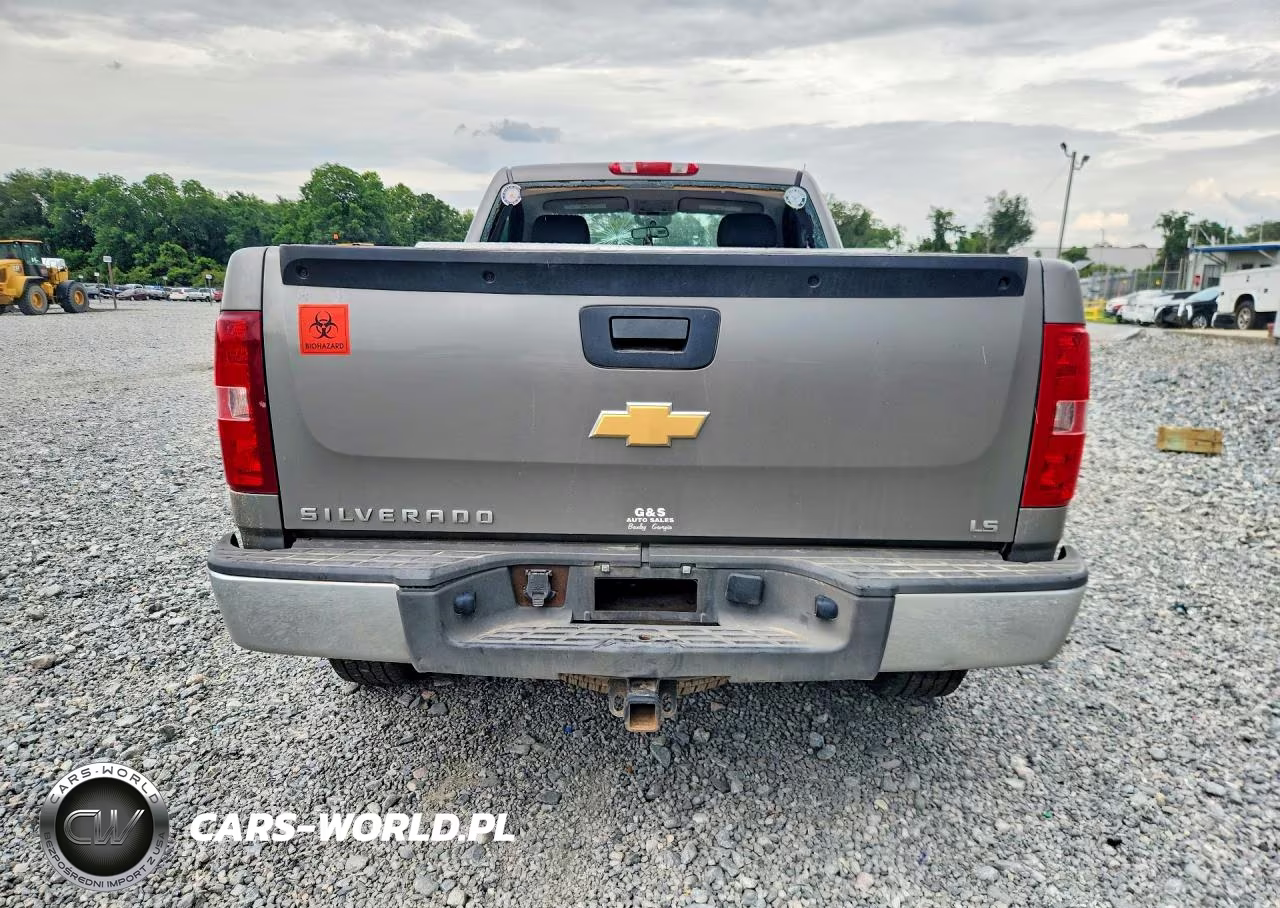 2012 Chevrolet Silverado C1500 VIN:1GCNCPEX6CZ285105 - 6