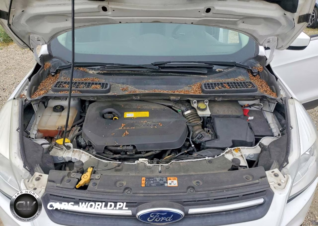 2016 Ford Escape Se VIN:1FMCU9GX1GUA85812 - 11