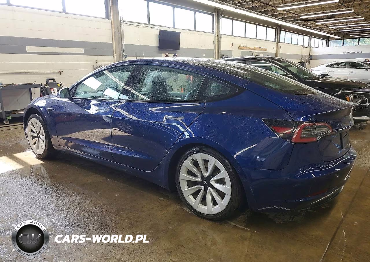 2022 Tesla Model 3 VIN:5YJ3E1EA3NF303840 - 2