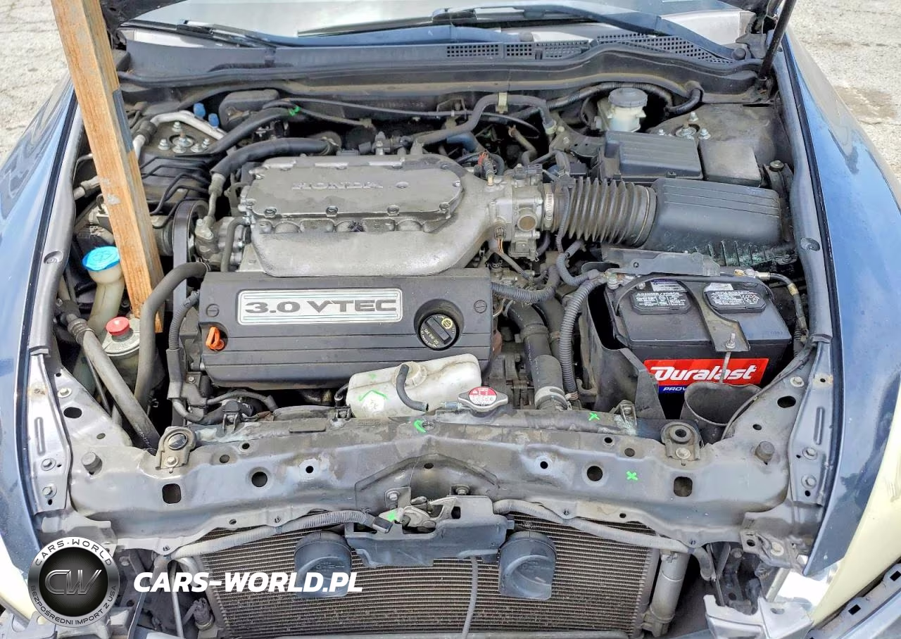 2006 Honda Accord Ex VIN:1HGCM66886A041742 - 11