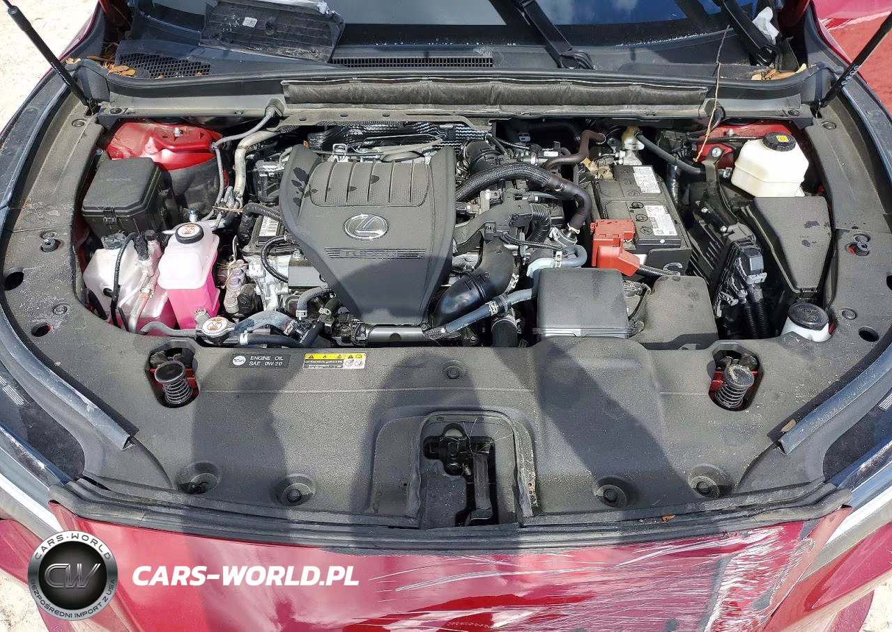 2025 Lexus Rx 350 Premium+ VIN:2T2BAMBAXSC067194 - 12