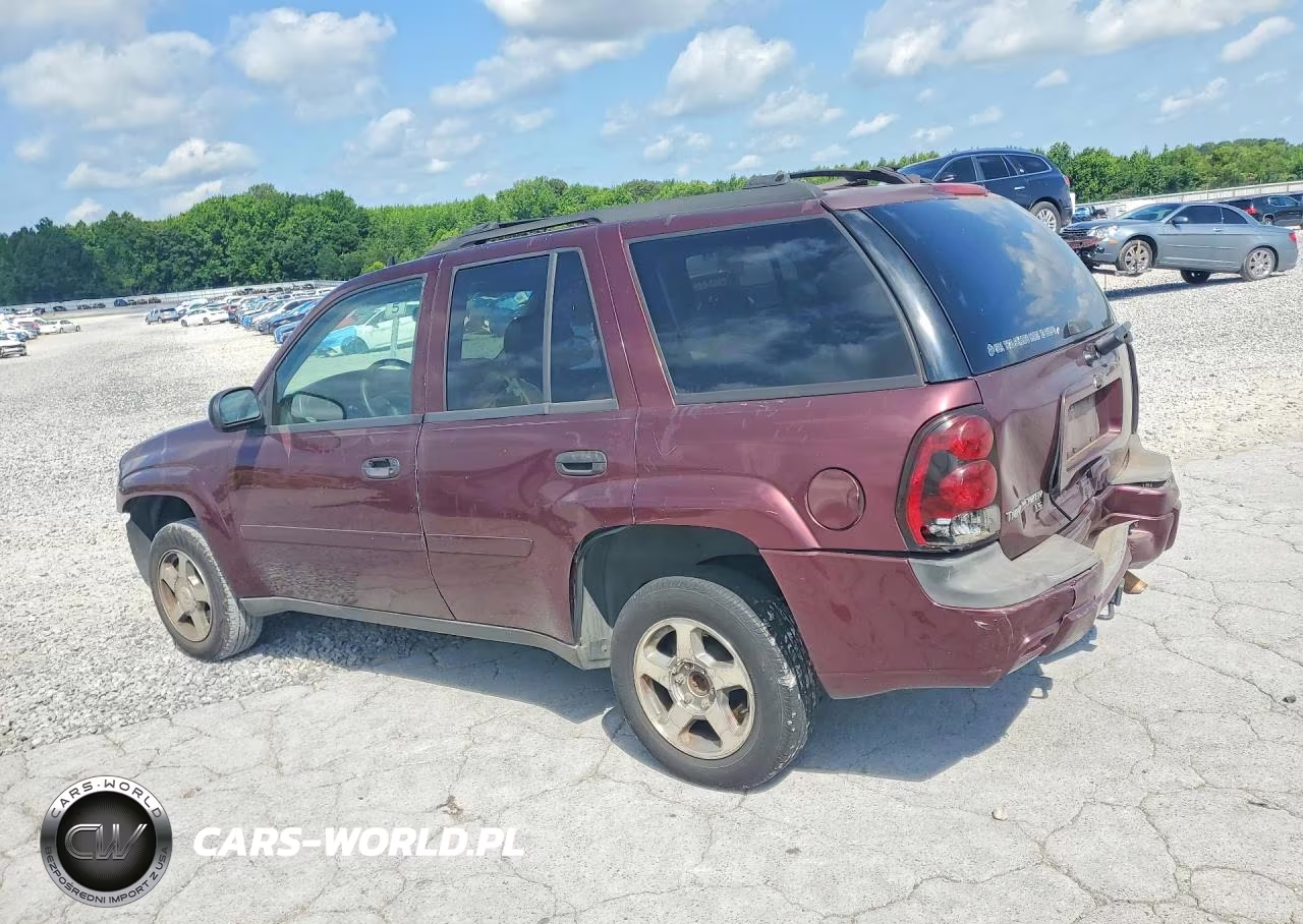 2007 Chevrolet Trailblazer Ls VIN:1GNDS13S572221579 - 2