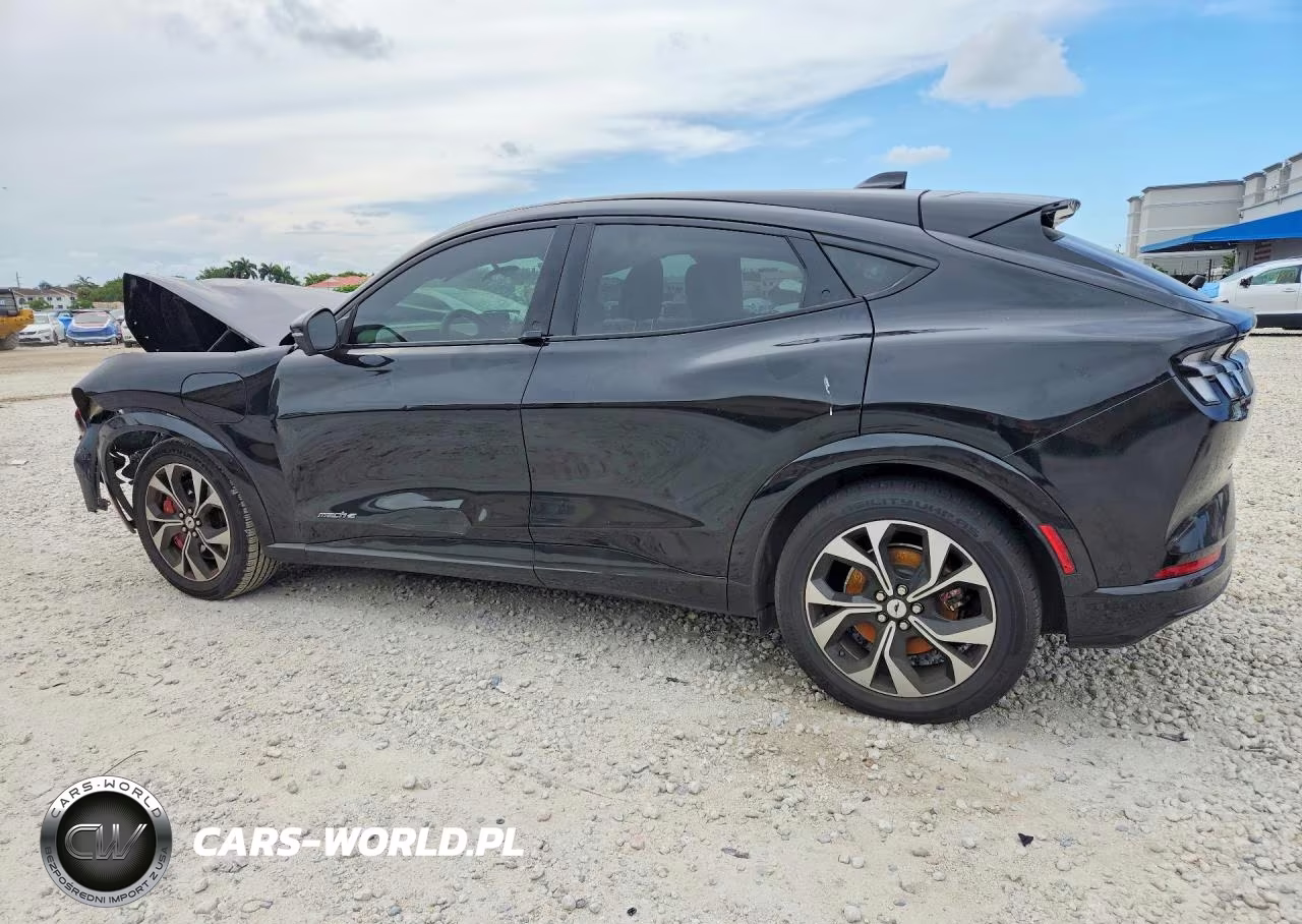 2022 Ford Mustang Mach-E Premium VIN:3FMTK3RM4NMA27832 - 2
