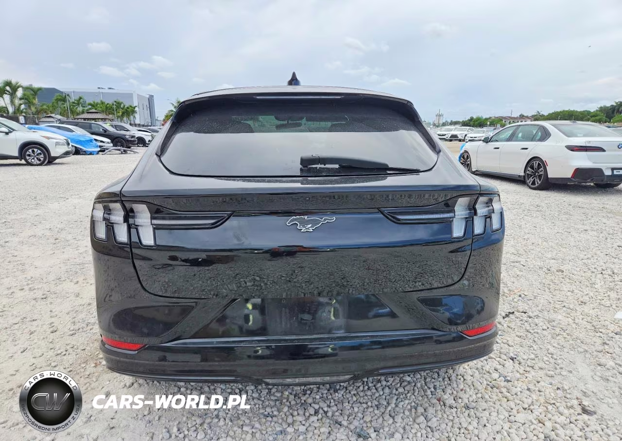 2022 Ford Mustang Mach-E Premium VIN:3FMTK3RM4NMA27832 - 6