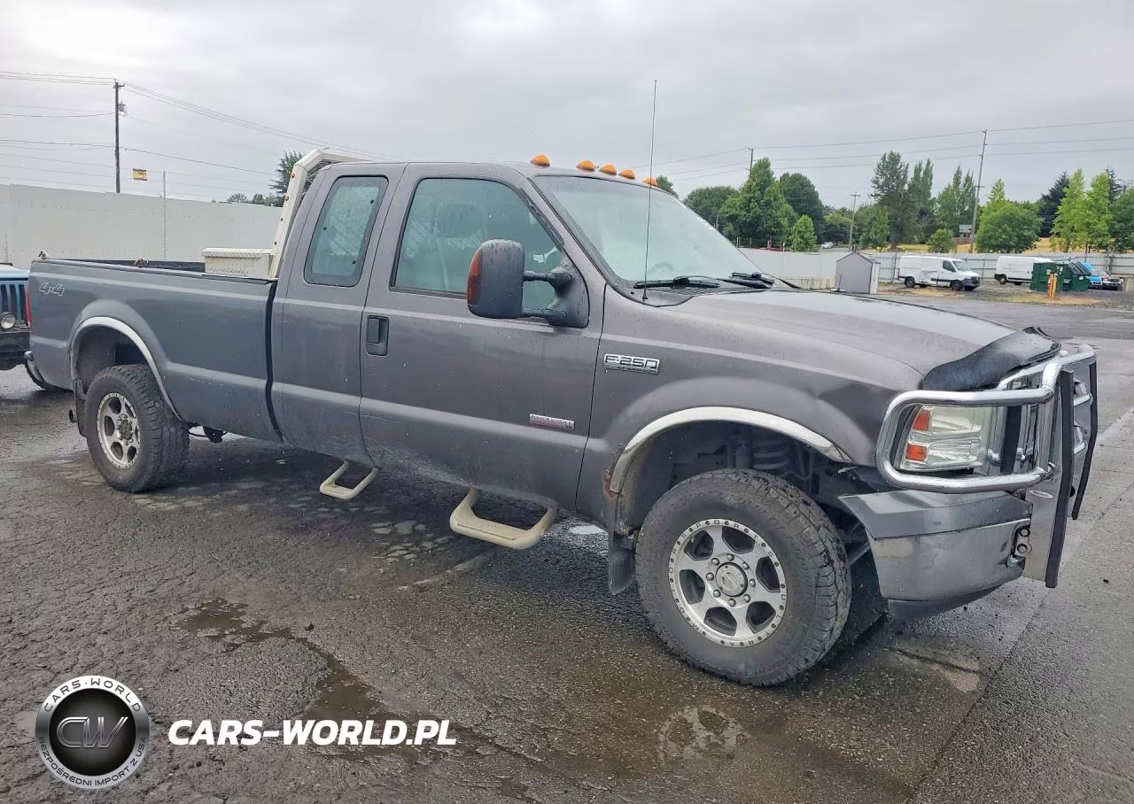 2006 Ford F250 Super Duty VIN:1FTSX21P06ED40904 - 4
