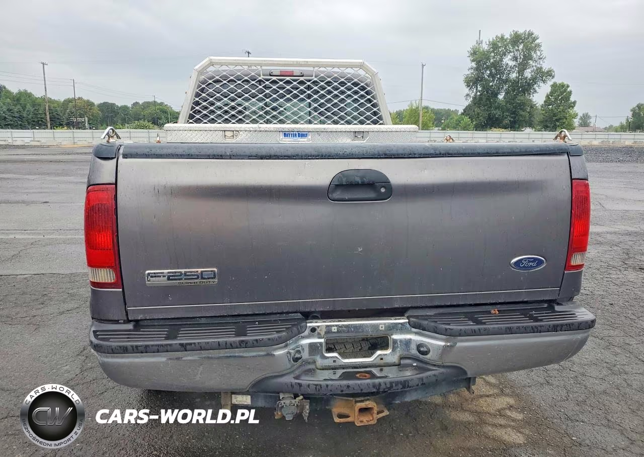 2006 Ford F250 Super Duty VIN:1FTSX21P06ED40904 - 6
