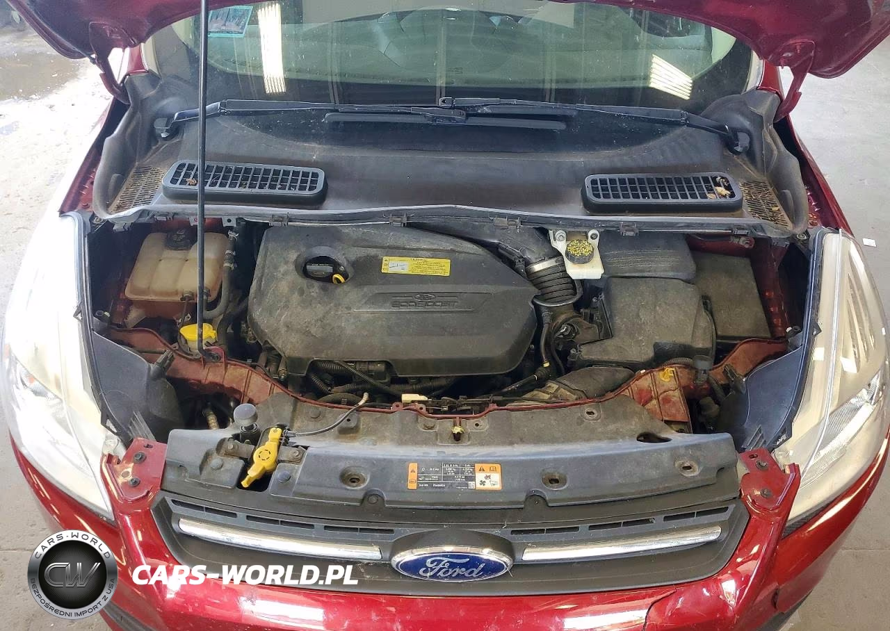 2014 Ford Escape Se VIN:1FMCU9GX2EUC75910 - 12
