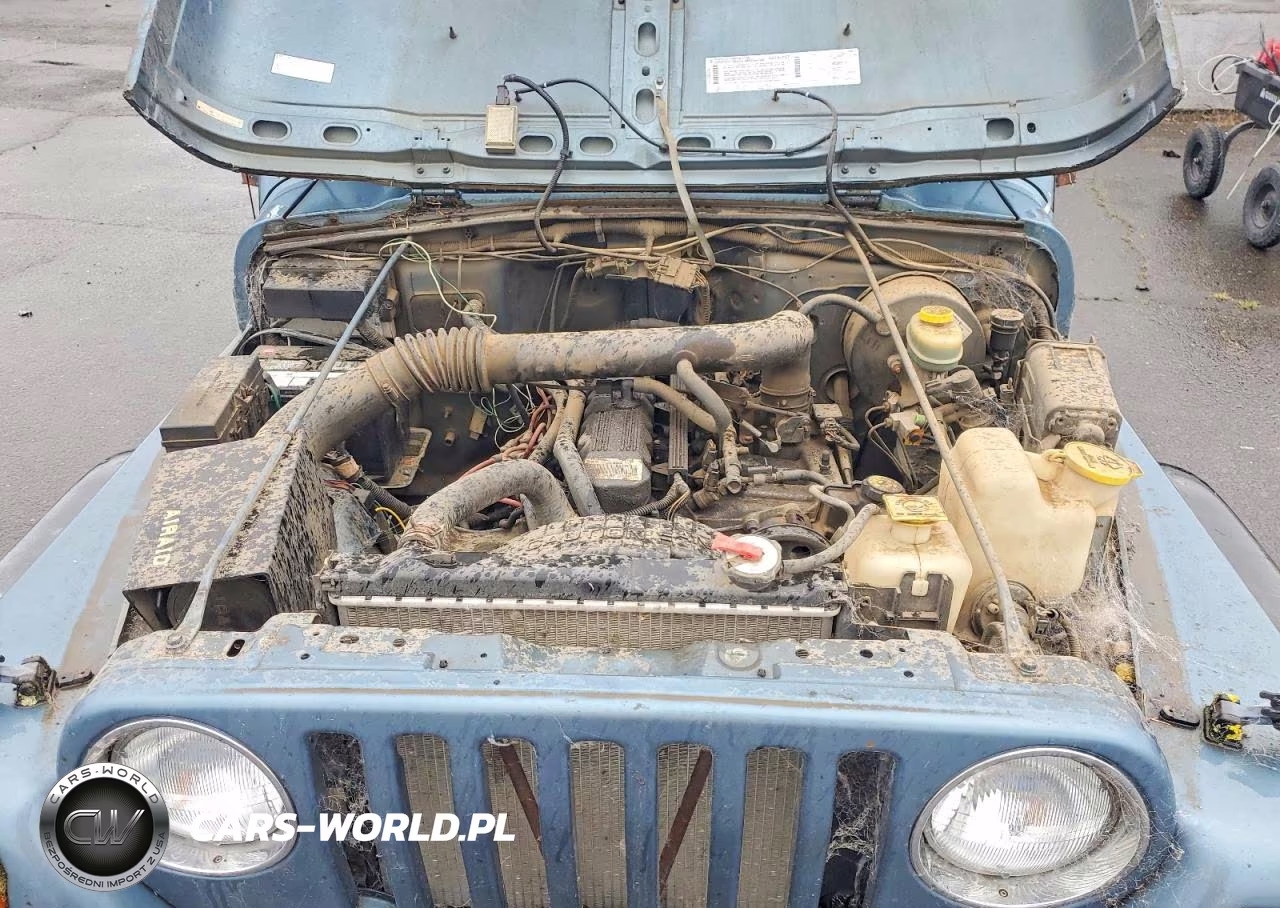1998 Jeep Wrangler - Tj Sport VIN:1J4FY19S2WP739281 - 11