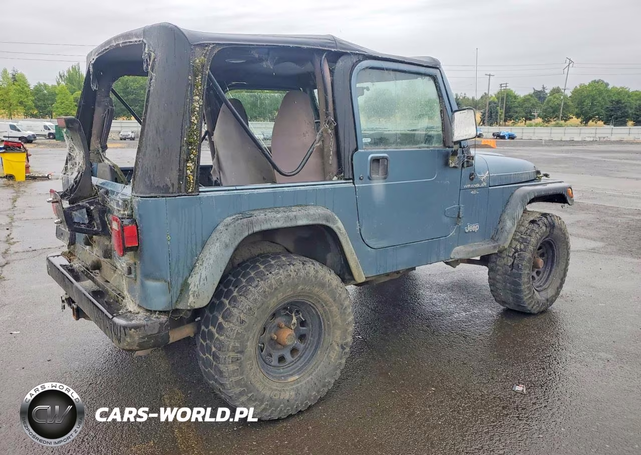 1998 Jeep Wrangler - Tj Sport VIN:1J4FY19S2WP739281 - 3