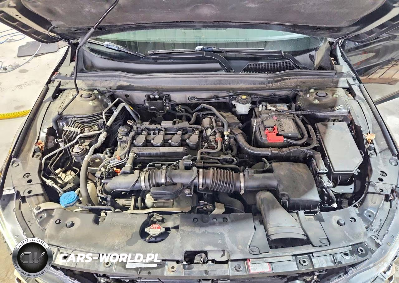 2020 Honda Accord Ex VIN:1HGCV1F43LA078271 - 11