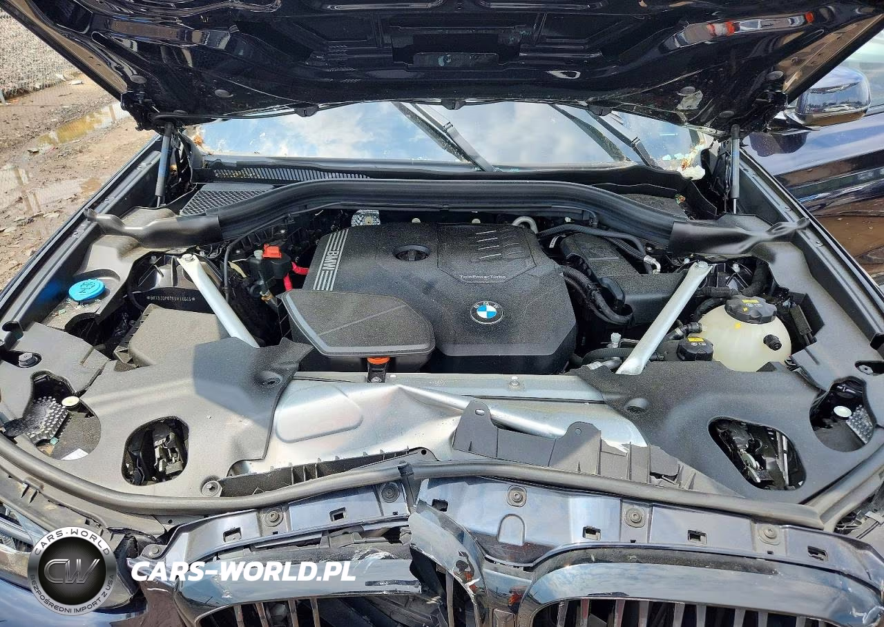 2022 BMW X3 xDrive30I VIN:5UX53DP07N9M46545 - 12