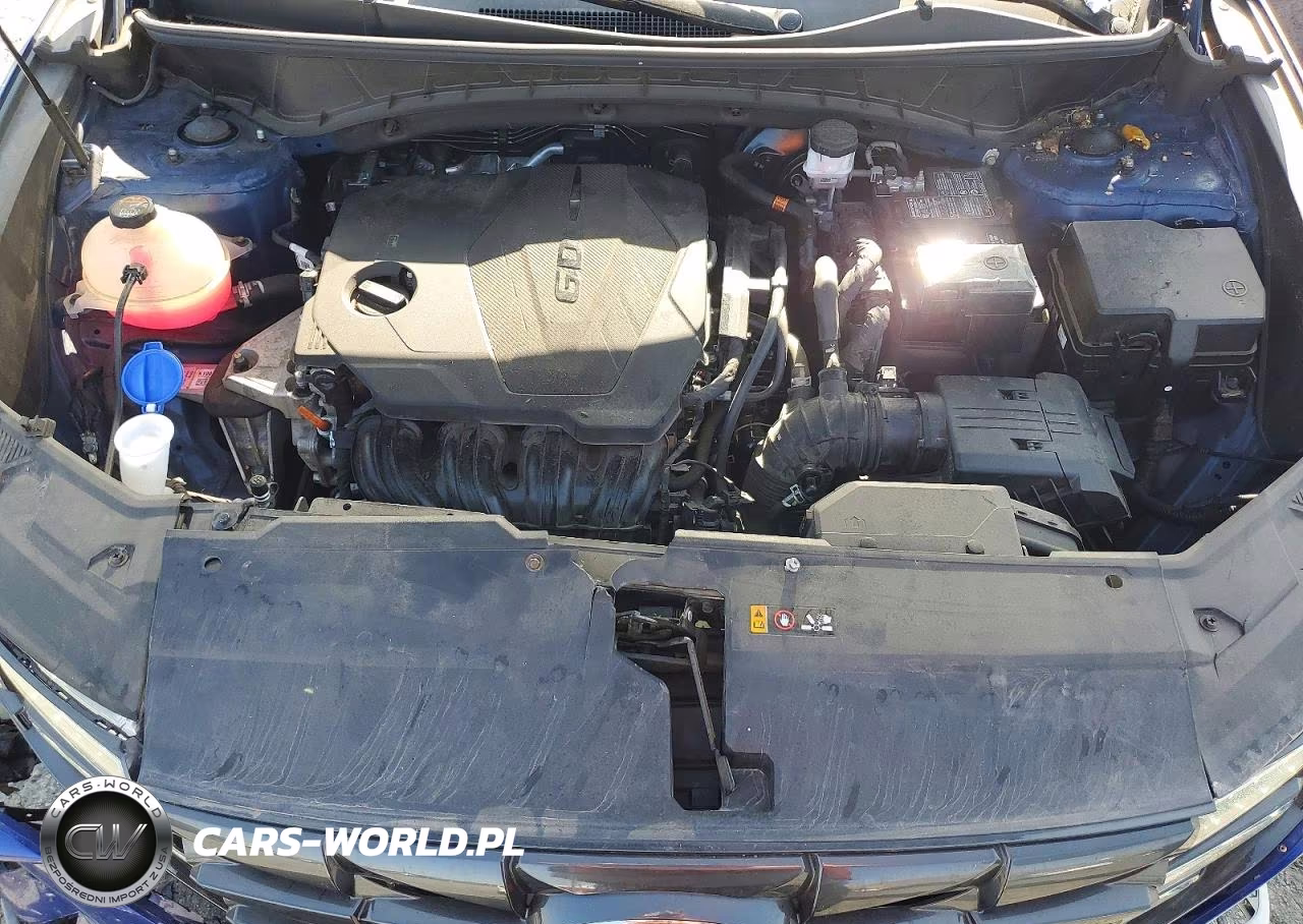 2024 Hyundai Tucson Sel VIN:5NMJBCDEXRH337908 - 12