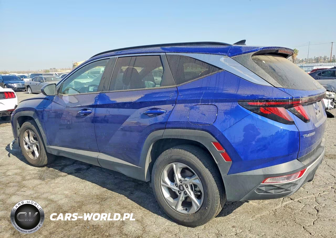 2024 Hyundai Tucson Sel VIN:5NMJBCDEXRH337908 - 2