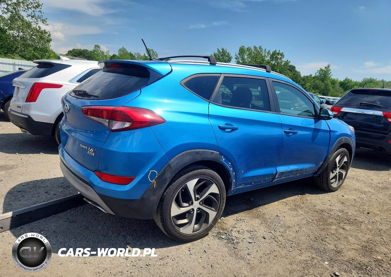2017 Hyundai Tucson Sport VIN:KM8J3CA26HU427423 - 3