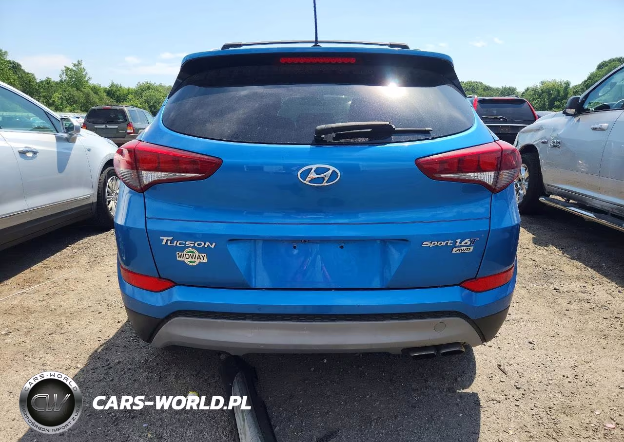 2017 Hyundai Tucson Sport VIN:KM8J3CA26HU427423 - 6