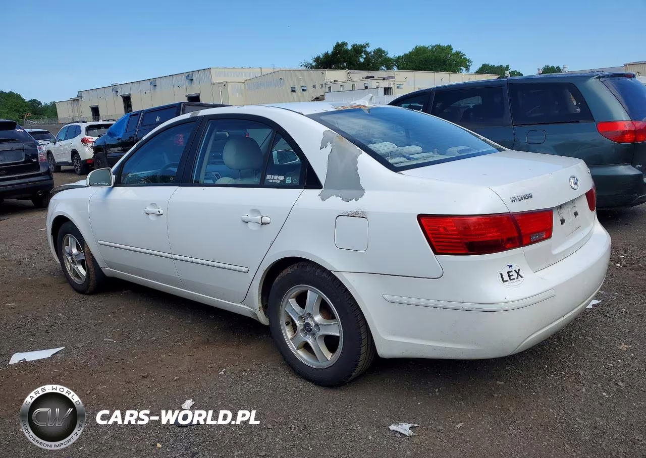 2010 Hyundai Sonata Gls VIN:5NPET4AC8AH602937 - 2